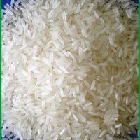 Gạo OM 5451 thơm ngon, chất lượng