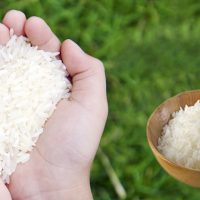 Gạo OM 5451 cho bạn bữa ngon hàng ngày