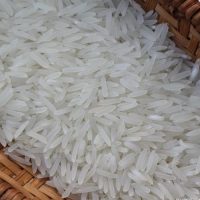 Gạo trắng hạt dài được xuất khẩu rất nhiều