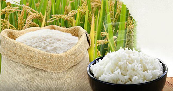 Gạo Việt Nam xuất khẩu đi những đâu?