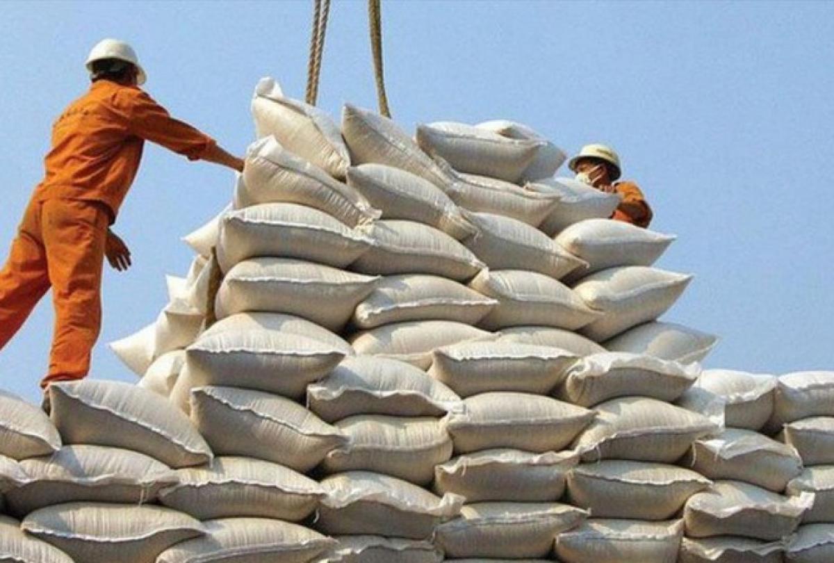 Gạo Việt Nam xuất khẩu vươn xa ra thị trường quốc tế.