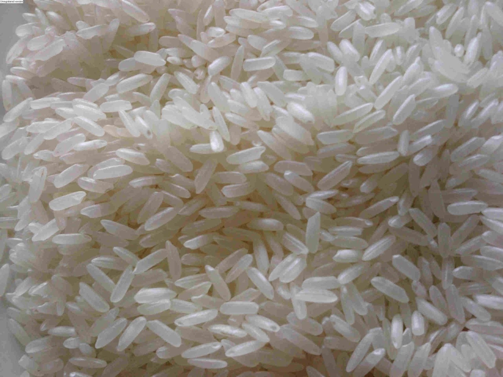 Gạo trắng hạt dài – 10% tấm chất lượng.